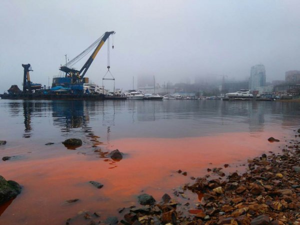 Во Владивостоке жителей напугал оранжевый цвет моря Во Владивостоке жителей напугал оранжевый цвет моря