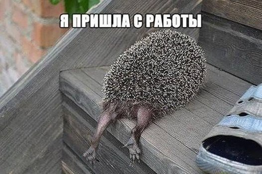9 (526x349, 160Kb)