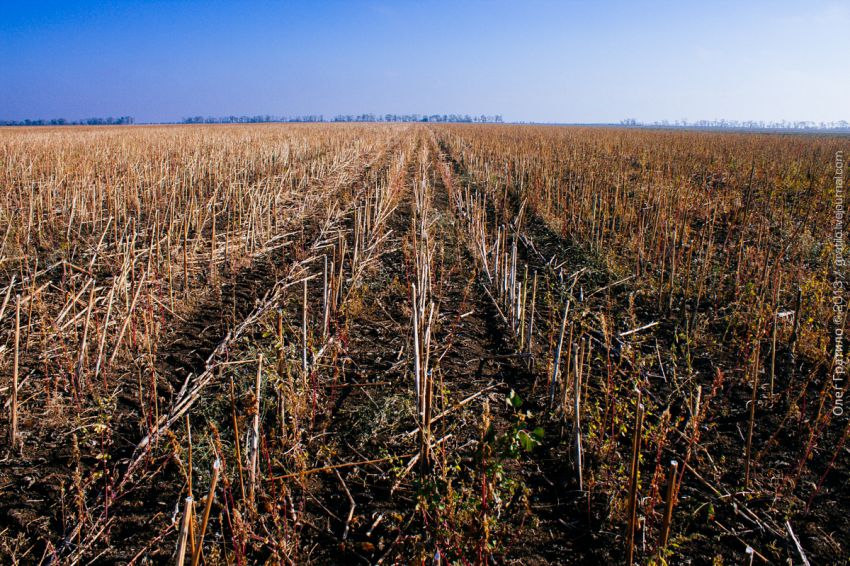 Украина, Экскурсия, фоторепортаж, ветроэлектростанция