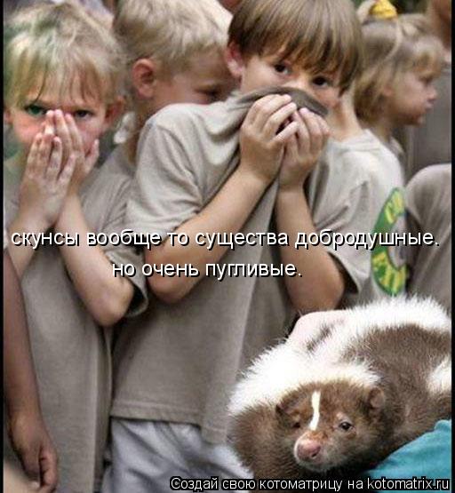 Мысли вслух :)