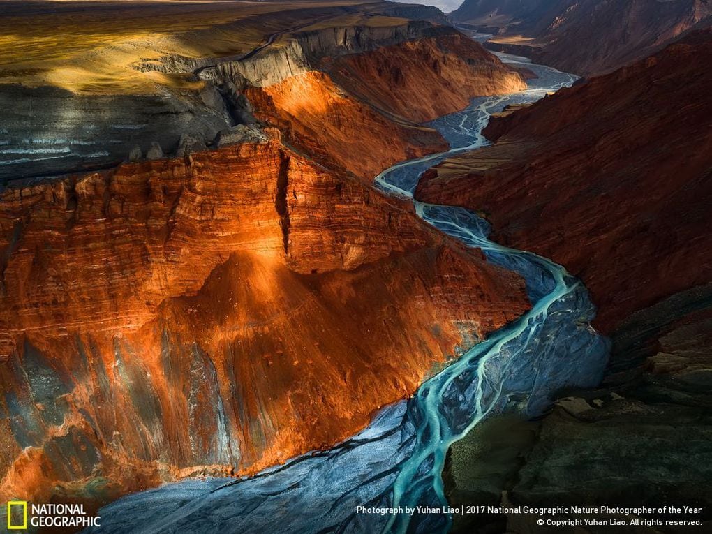 33 fotos, que a revista National Geographic chamou as melhores fotos de vida selvagem de 2017