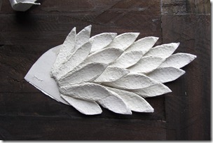 tutorial gallo Cristallo-11