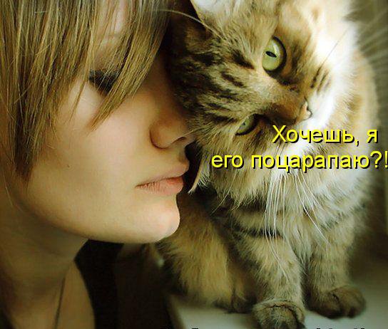 КОТЭ как есть КОТЭ