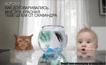 ��������� ����������� ������������..