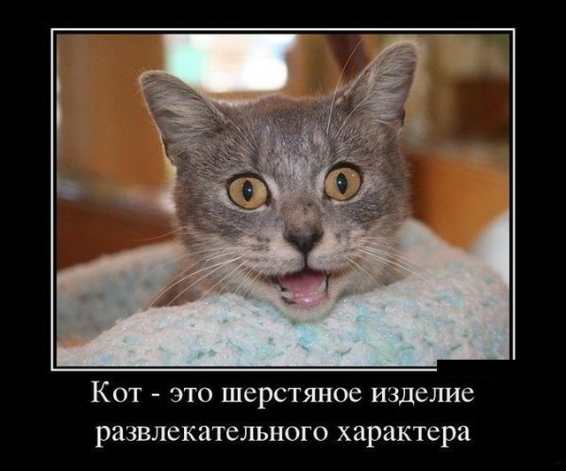 Смешные и веселые демотиваторы для поднятия настроения (10 фото) Смешные и веселые демотиваторы для поднятия настроения (10 фото)