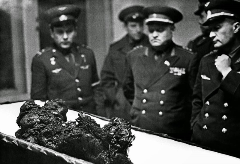 10 фотографий с жуткой предысторией 10 фотографий с жуткой предысторией