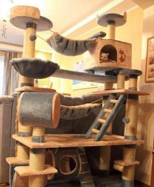 Смотреть домики для кошек