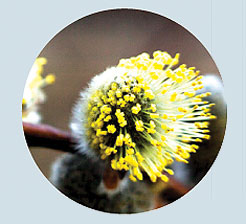 RabochiyMoment-4.jpg RabochiyMoment-4.jpg