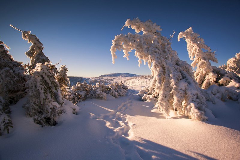 Невероятная красота зимней Польши Польша, зимние виды, красота, пейзажи, творчество, фото, фотограф, фотографии