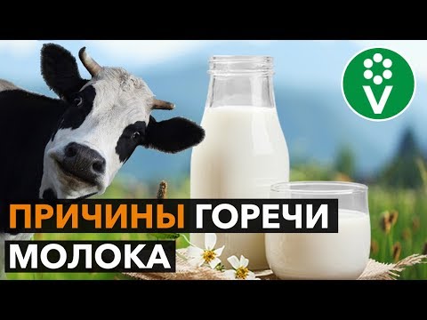 ГОРЬКАЯ ПРАВДА о молоке