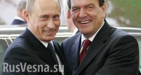 Стабильность в мире невозможна без России, — канцлер Германии | Русская весна