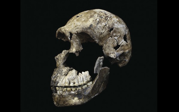 Таинственная раса "Homo naledi"