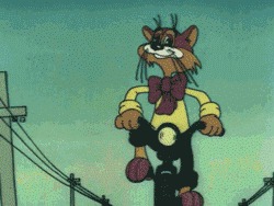 животные, интересное, красотка, фото, факты