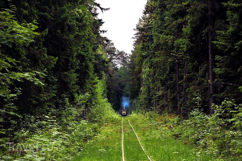 ����������� �� ������ ������ / ���� �� �������