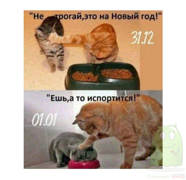 Предновогодний юмор