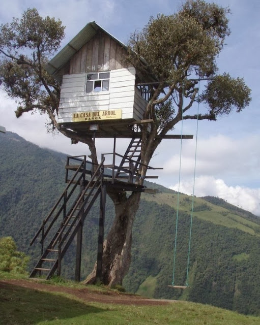 Удивительные качели "La Casa del Arbol"