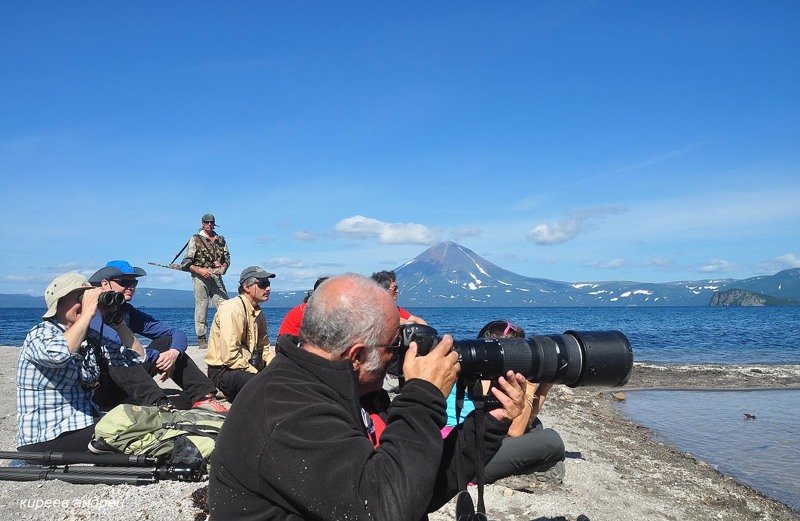 На медведя с фотоаппаратом! На медведя с фотоаппаратом! животные, путешествия, факты, фото