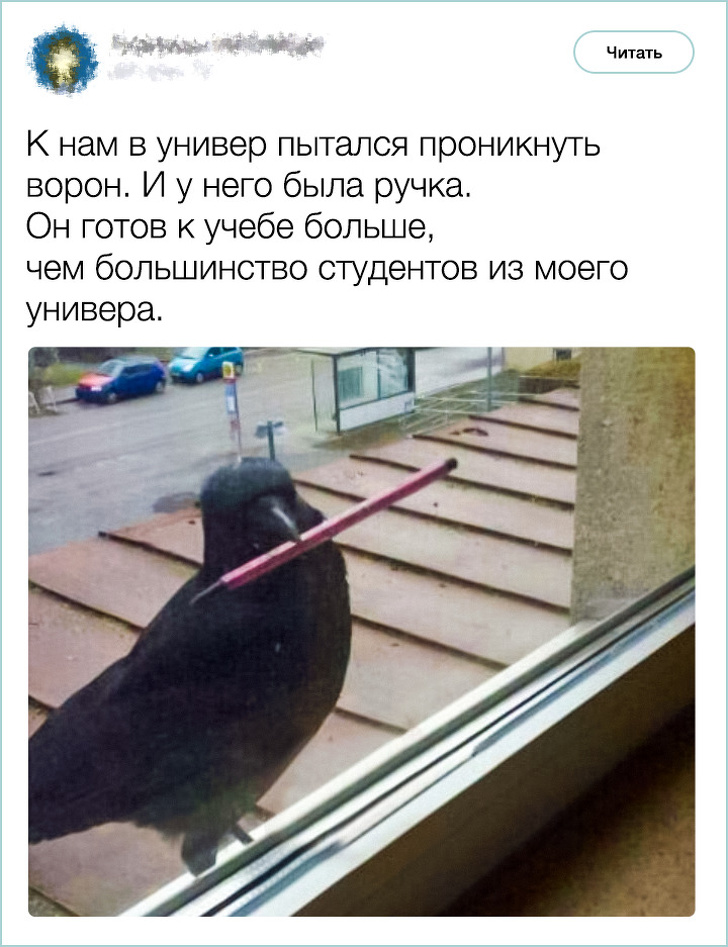 Приколы из сети: Твиттер-ки/СМС-ки :) Приколы из сети: Твиттер-ки/СМС-ки :)