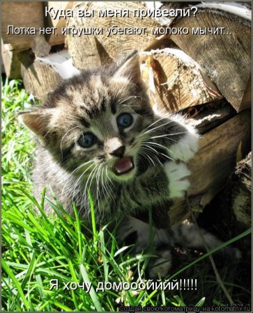 ��������� ����������� ������������..