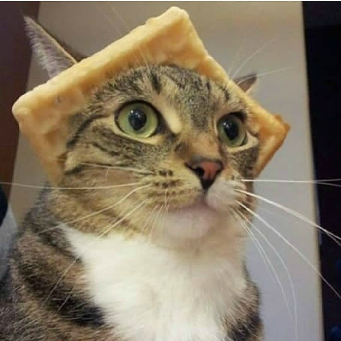 Шляпа из хлебушка. | Фото: Reddit. Шляпа из хлебушка. | Фото: Reddit.
