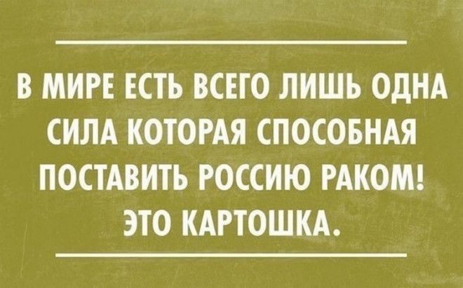 18 лучших саркастических открыток 18 лучших саркастических открыток