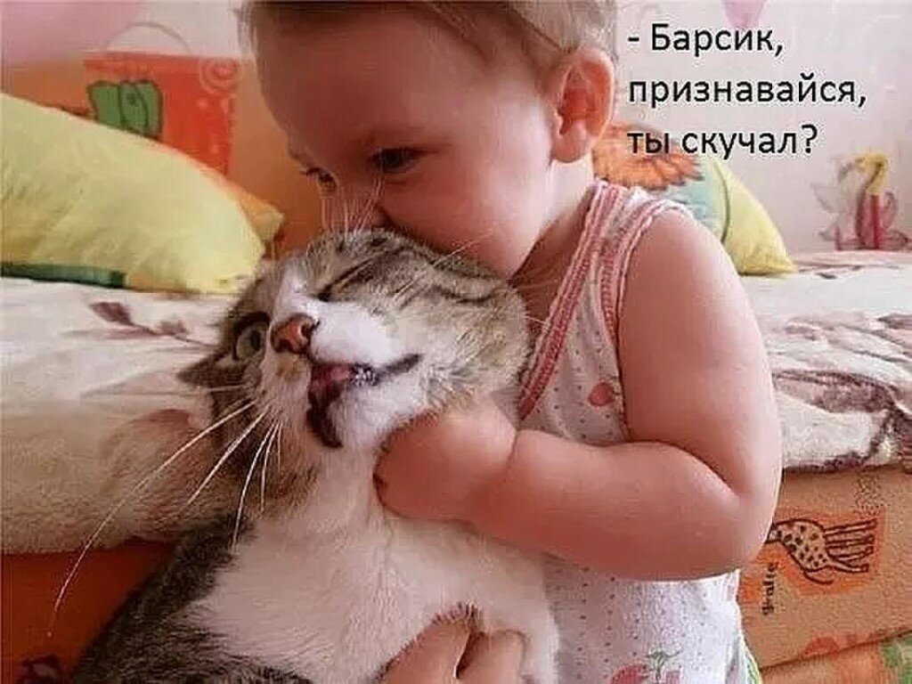 Фото взято из открытого источника Яндекс.Картинки
