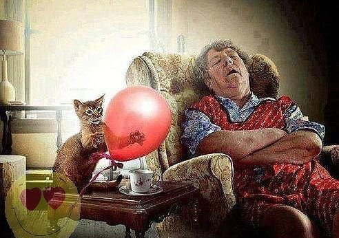 6 (492x346, 186Kb)