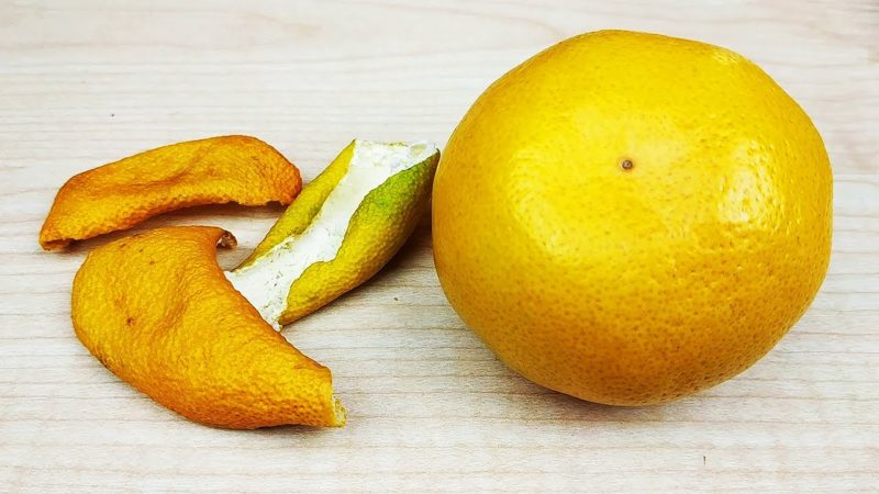 Неожиданные способы использования кожуры от мандаринов Неожиданные способы использования кожуры от мандаринов