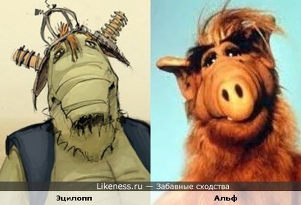 сходства, люди