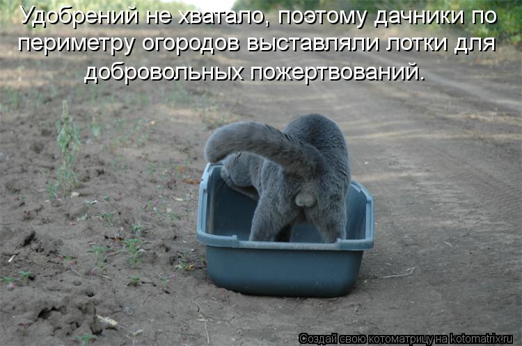 И снова котоматрица!!! И снова котоматрица!!!