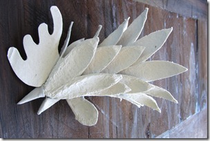 tutorial gallo Cristallo-10