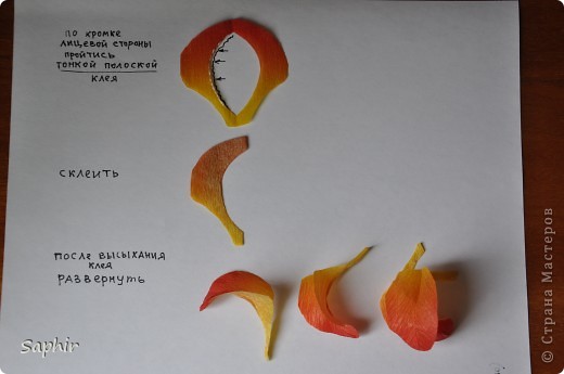 Ирисы из гофрированной бумаги и конфет мастер класс Ирисы из гофрированной бумаги и конфет мастер класс