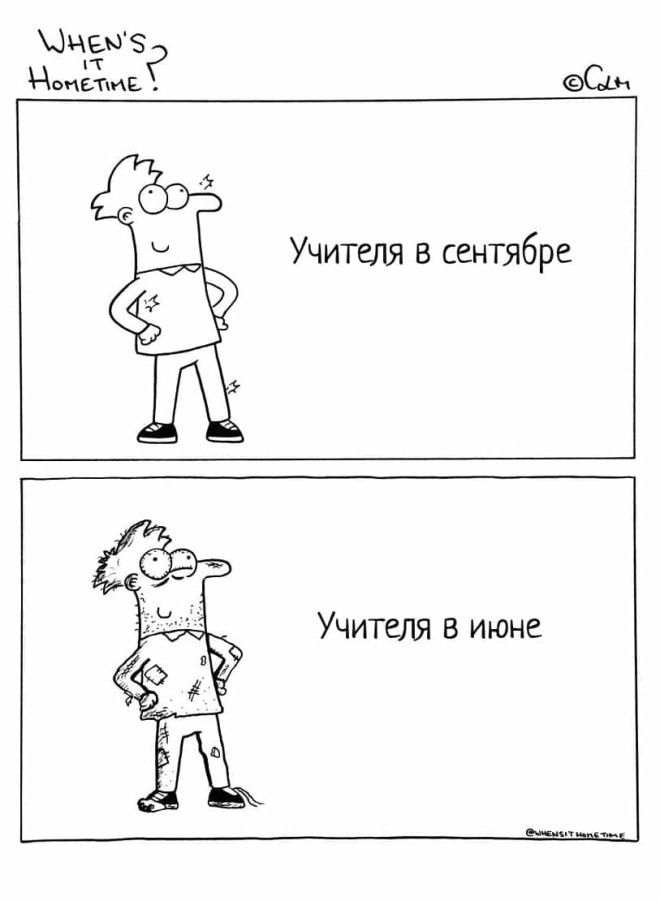 B15 жизненных комиксов о буднях типичного учителя начальных классов