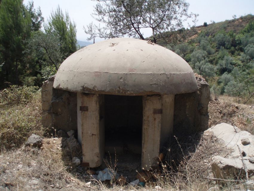 ������ �������� �������, ������, �����������