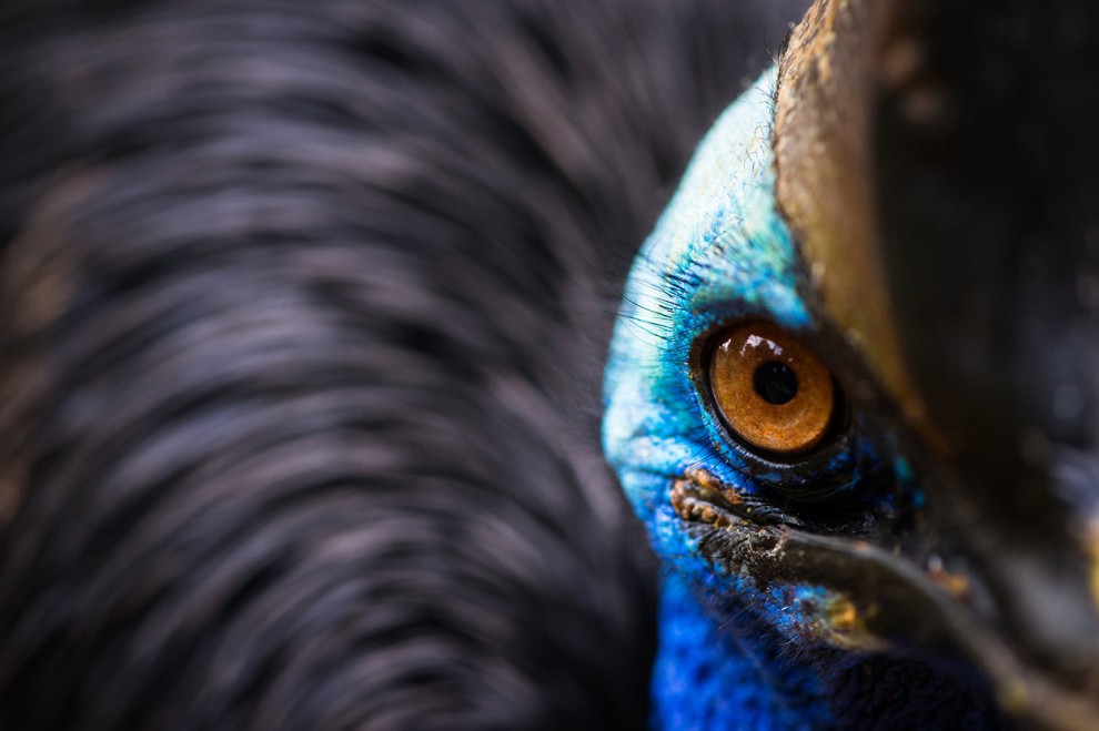Фотоконкурс National Geographic Photo Contest 2013 (продолжение)