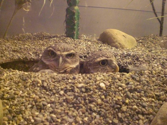 30 интересных снимков