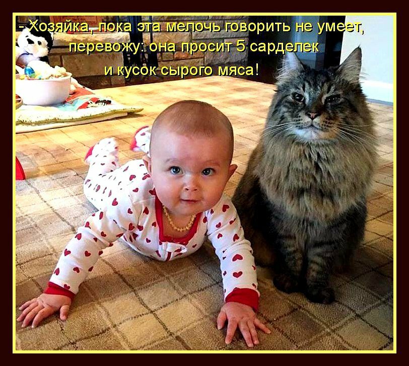 Фото взято из открытого источника Яндекс.Картинки