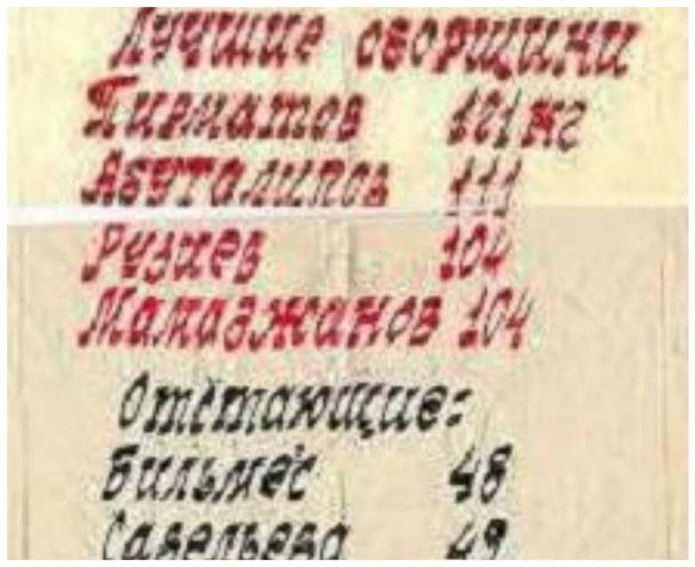 Картошка, колхоз, овощебазы - осенние сельскохозяйственные развлечения Картошка, колхоз, овощебазы - осенние сельскохозяйственные развлечения