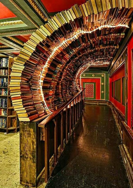 Что ещё можно сотворить с книгами? Что ещё можно сотворить с книгами?