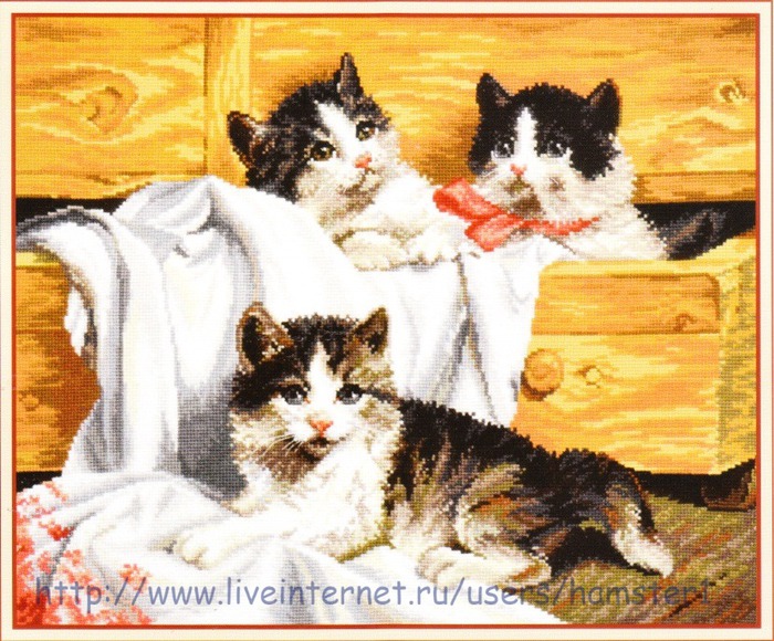 Вышивка котенок и том Вышивка котенок и том