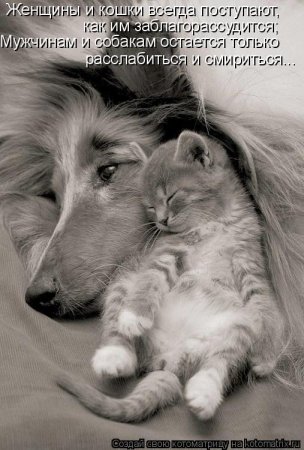 ��������� ����������� ������������..