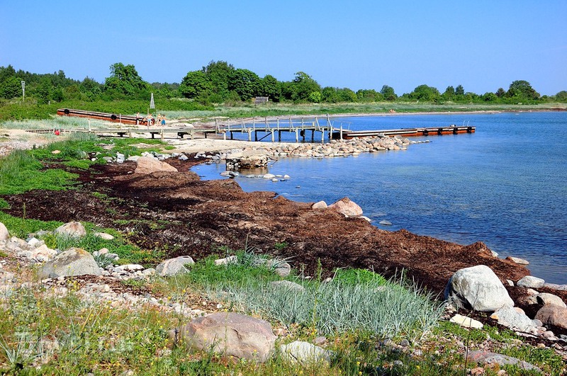 ����������� �� ������ ������ / ���� �� �������