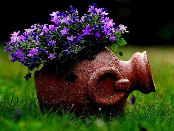 Flower garden /  .  :...