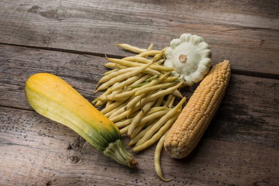 Три сестры: посадка кукурузы, бобов и сквоша вместе: Органическое земледелие, пермакультура