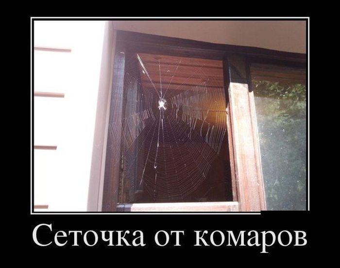 Демотиваторы юмор, демотиваторы