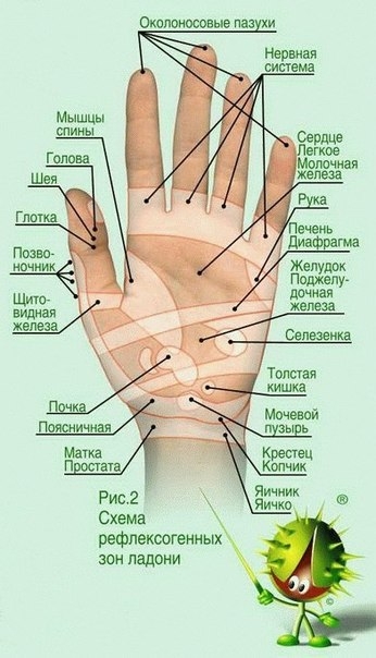 Вавилонский голландец (fb2)