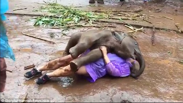 Ms Frenchick erupts into laughter as she falls to the ground, covered in mud