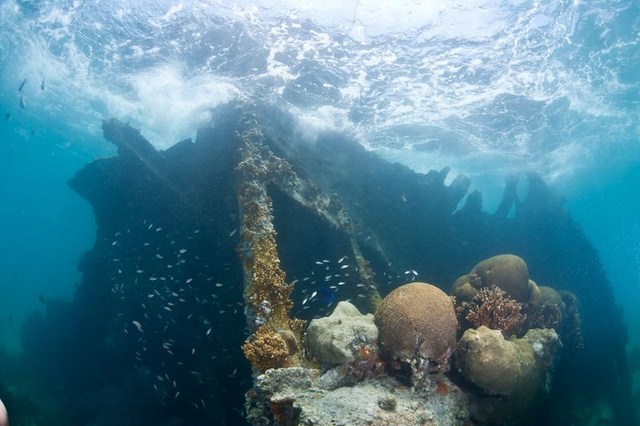Dry Tortugas National Park 2