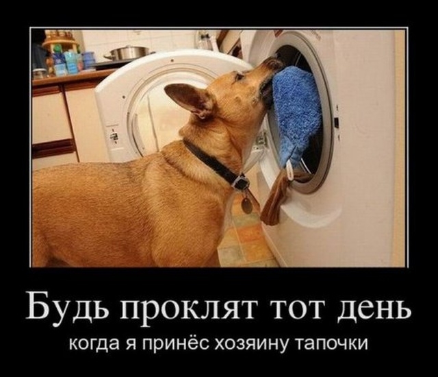 Демотиваторы Демотиваторы
