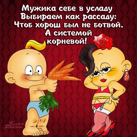 "ПУТЬ К СЕРДЦУ ЖЕНЩИНЫ ЛЕЖАТЬ НЕ ДОЛЖЕН".Прикольные статусы в открытках Елены Райчик. "ПУТЬ К СЕРДЦУ ЖЕНЩИНЫ ЛЕЖАТЬ НЕ ДОЛЖЕН".Прикольные статусы в открытках Елены Райчик.